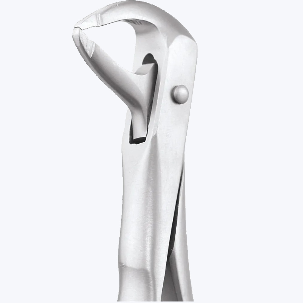 GDC Extraction Forceps Lower Premolars - 13 Atraumatic (AFX13)